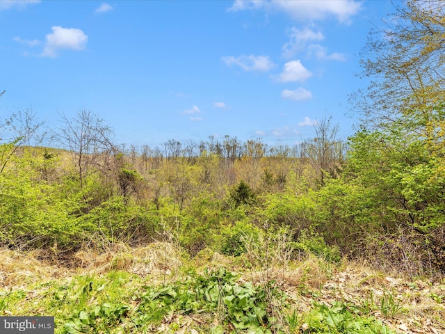 view of local wilderness featuring a wooded view