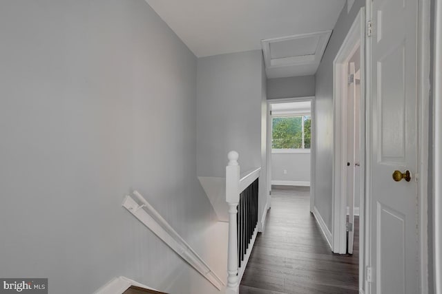 hall with an upstairs landing, dark wood-style floors, baseboards, and attic access