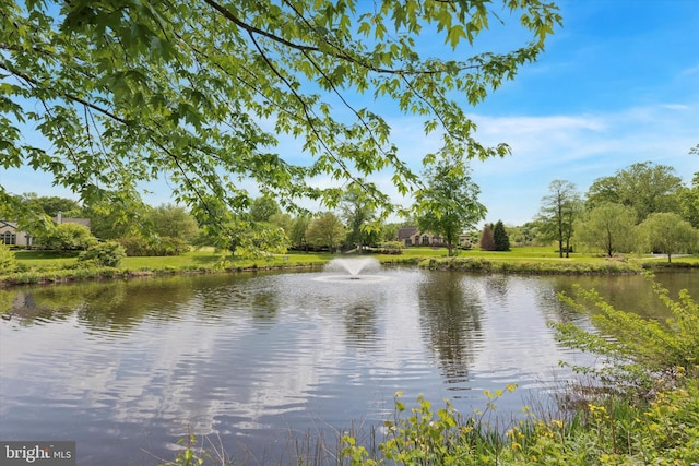 water view