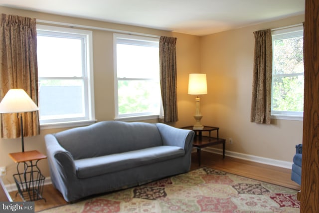living area featuring wood finished floors, plenty of natural light, and baseboards