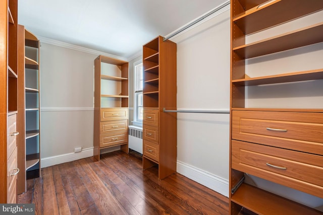 179 Green St, Annapolis, MD 21401 - spacious closet with dark wood finished floors and radiator