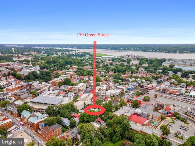 179 Green St, Annapolis, MD 21401 - bird's eye view