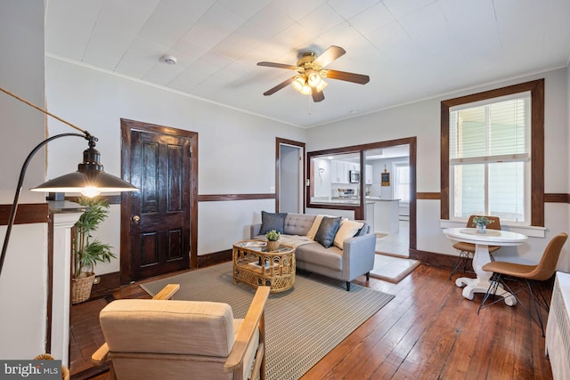 179 Green St, Annapolis, MD 21401 - living area featuring a ceiling fan, baseboards, wood-type flooring, and ornamental molding