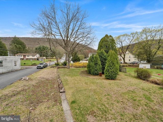 215 Biddle St, Gordon, PA 17936 - view of yard