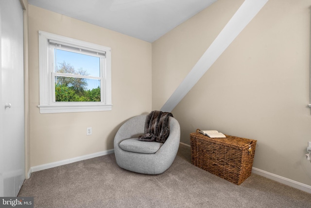 living area with carpet floors and baseboards