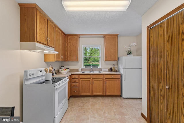 392 Walker Way, Timberville, VA 22853 - kitchen featuring white appliances, under cabinet range hood, a sink, light countertops, and brown cabinetry