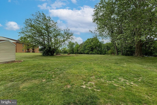 392 Walker Way, Timberville, VA 22853 - view of green lawn