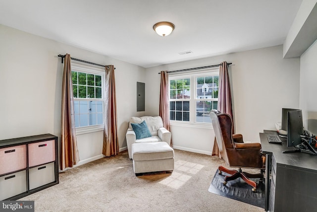 6022 Rixey Dr, Alexandria, VA 22303 - office space with light colored carpet and electric panel
