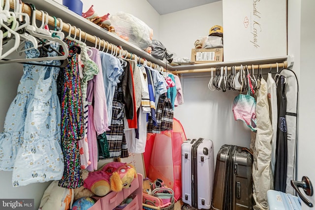 6022 Rixey Dr, Alexandria, VA 22303 - view of spacious closet