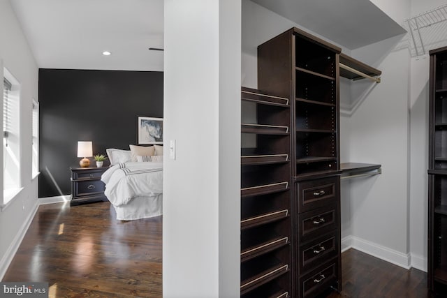 walk in closet with dark wood finished floors