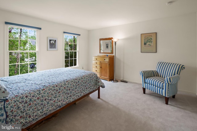 bedroom with baseboards and carpet