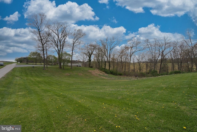 17634 Bruehl Rd, Upperco, MD 21155 - view of grassy yard