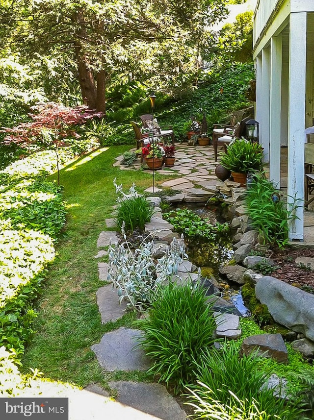 view of yard featuring a patio area
