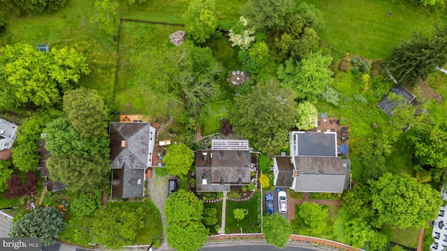 bird's eye view