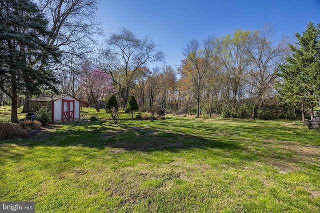 view of yard with a storage shed and an outbuilding