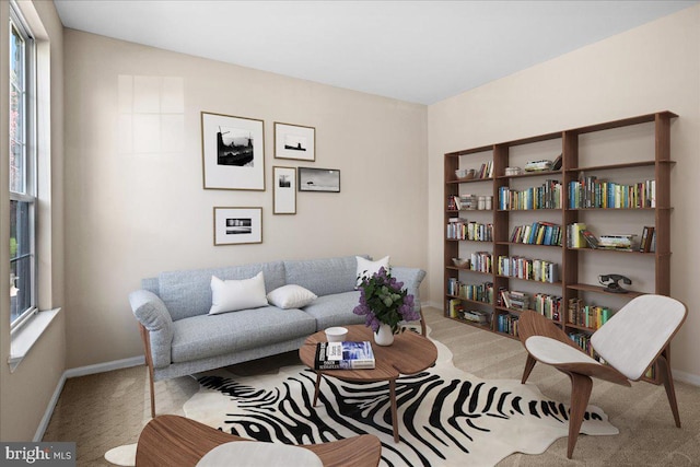 5 Klockner Ct, Lawrence Township, NJ 08648 - carpeted living room featuring baseboards