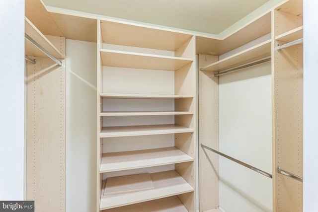 view of walk in closet