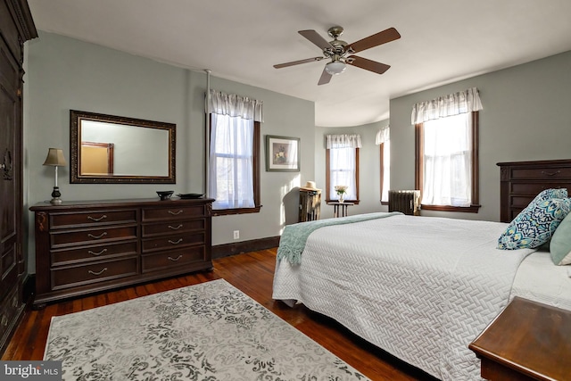 bedroom featuring multiple windows, dark wood finished floors, a ceiling fan, and radiator