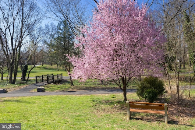 view of surrounding community