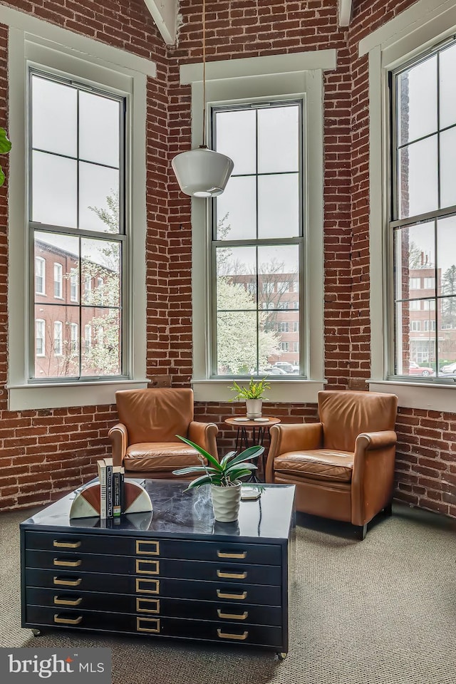 interior space with carpet floors, plenty of natural light, and brick wall