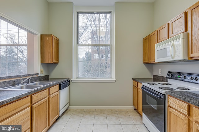 kitchen featuring plenty of natural light, white microwave, electric stove, dishwasher, and a sink