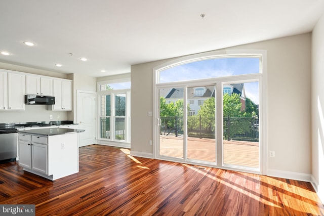 kitchen featuring appliances with stainless steel finishes, a kitchen island, dark wood-style flooring, and a wealth of natural light