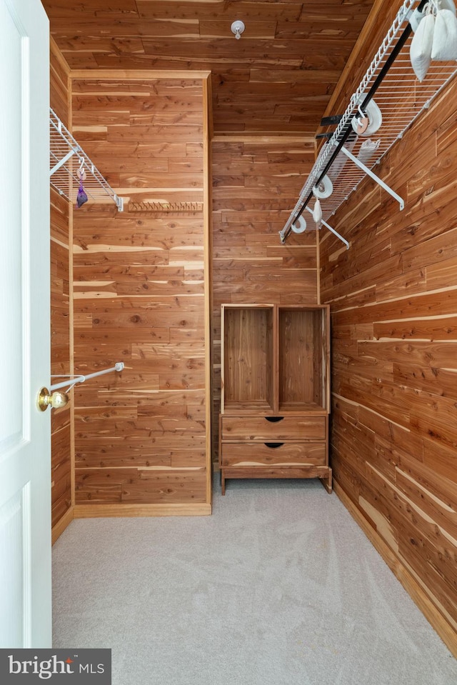 walk in closet with carpet