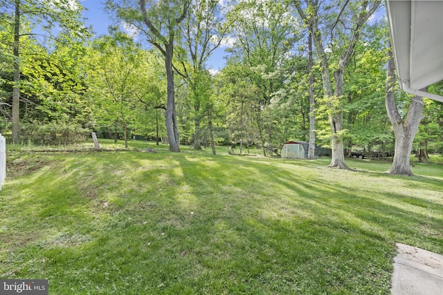 1302 Ashbridge Rd, West Chester, PA 19380 - view of green lawn with a storage unit and an outbuilding
