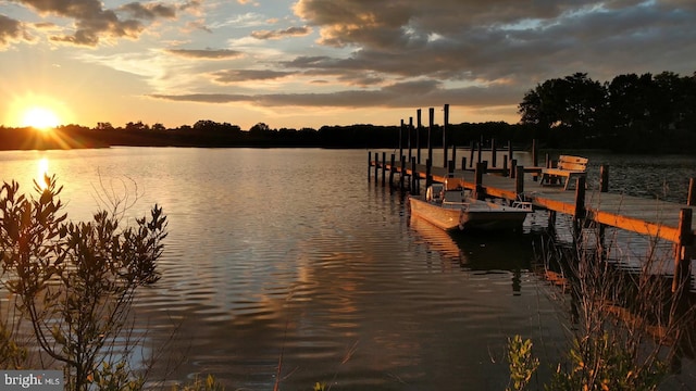dock area with a water view