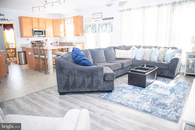 10861 Smugglers Notch Ct, White Plains, MD 20695 - living area featuring light wood-style floors