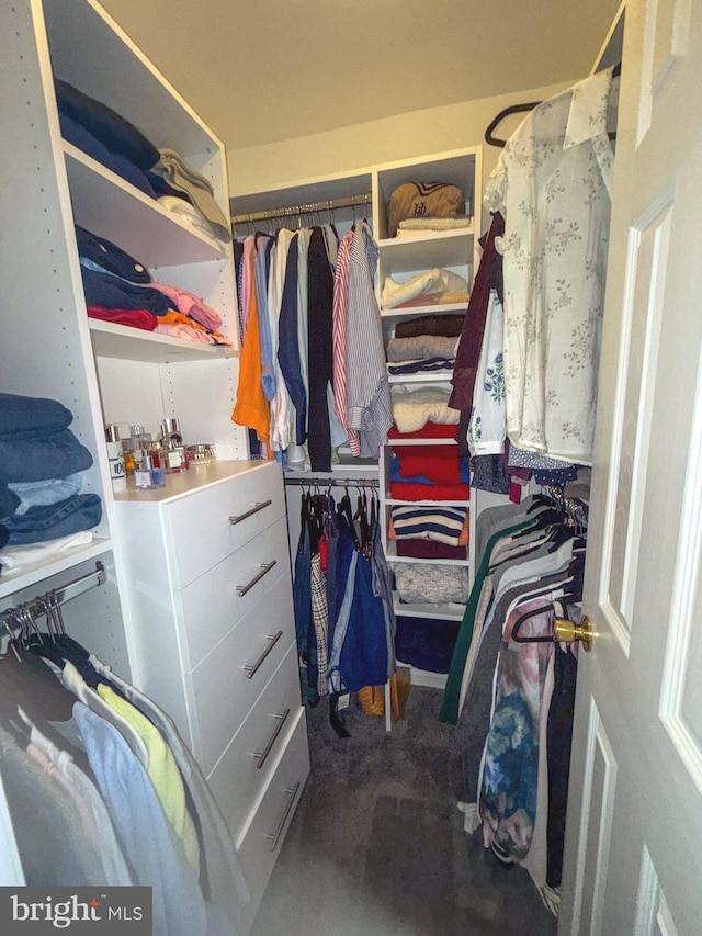 10861 Smugglers Notch Ct, White Plains, MD 20695 - view of walk in closet