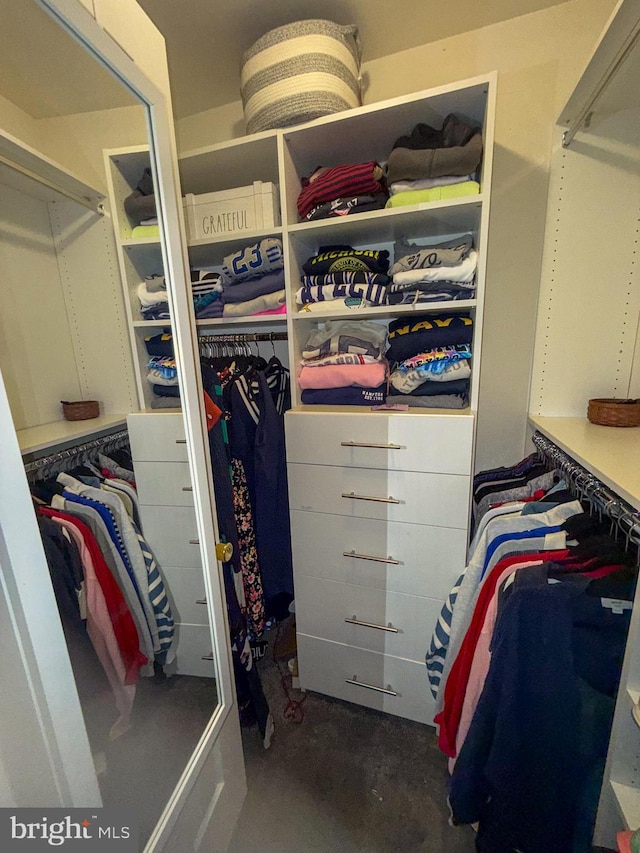10861 Smugglers Notch Ct, White Plains, MD 20695 - view of spacious closet