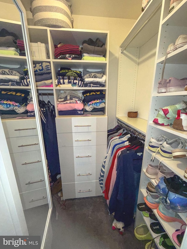 10861 Smugglers Notch Ct, White Plains, MD 20695 - view of walk in closet