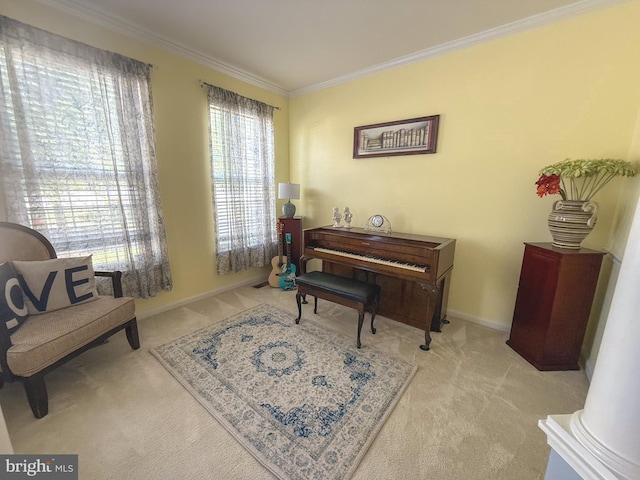10861 Smugglers Notch Ct, White Plains, MD 20695 - sitting room with carpet floors, crown molding, and baseboards