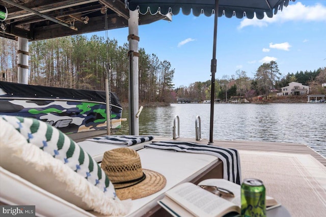 dock area with a water view