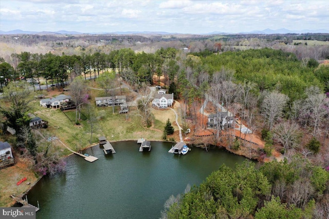bird's eye view featuring a view of trees and a water and mountain view