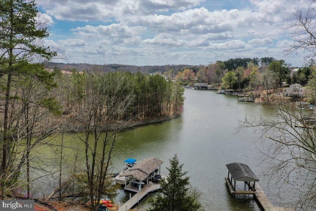 water view with a view of trees and a boat dock