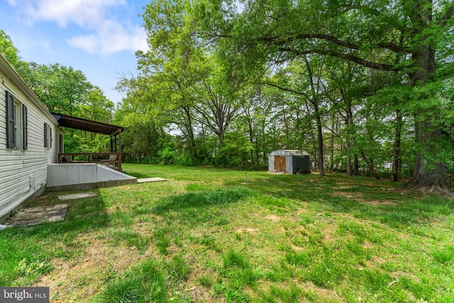 view of yard featuring an outdoor structure and a storage unit