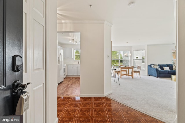 20605 Cornstalk Ter Unit 201, Ashburn, VA 20147 - foyer featuring baseboards, dark carpet, a wealth of natural light, and an inviting chandelier