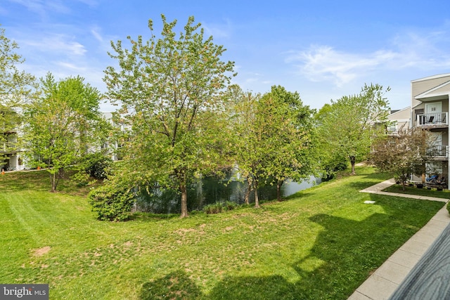 20605 Cornstalk Ter Unit 201, Ashburn, VA 20147 - view of yard