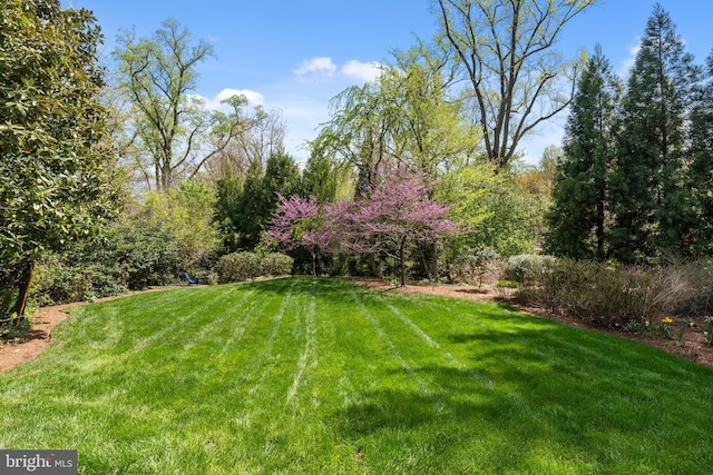 208 Wardour Dr, Annapolis, MD 21401 - view of yard