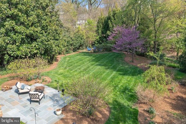 208 Wardour Dr, Annapolis, MD 21401 - view of yard featuring a fire pit and a patio area