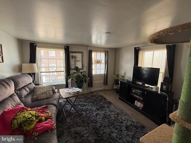 living room featuring wood finished floors and a healthy amount of sunlight