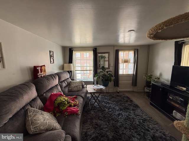 living area with wood finished floors