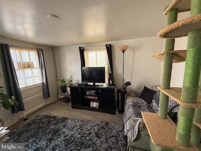 living room with wood finished floors and a wealth of natural light