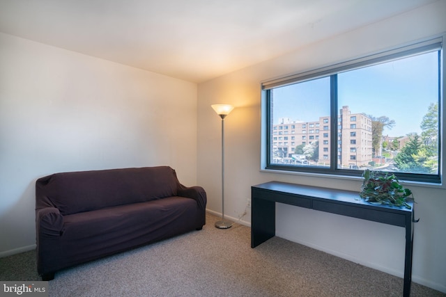1931 N Cleveland St Unit 312, Arlington, VA 22201 - living area with plenty of natural light, baseboards, and carpet