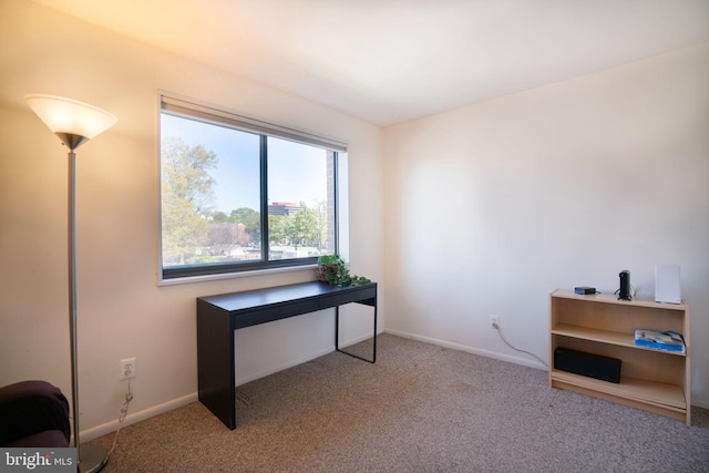 1931 N Cleveland St Unit 312, Arlington, VA 22201 - office space featuring carpet flooring and baseboards