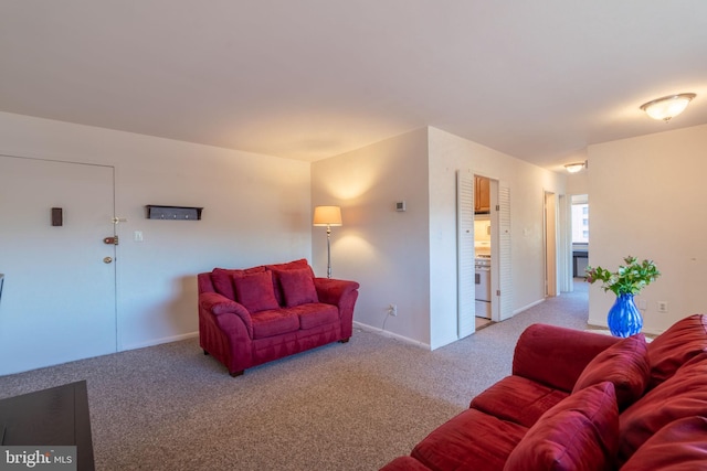 1931 N Cleveland St Unit 312, Arlington, VA 22201 - living area featuring baseboards and carpet flooring
