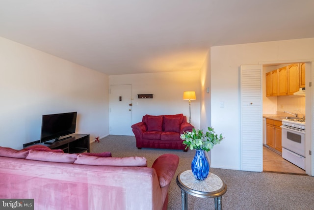 1931 N Cleveland St Unit 312, Arlington, VA 22201 - living area with light carpet and baseboards