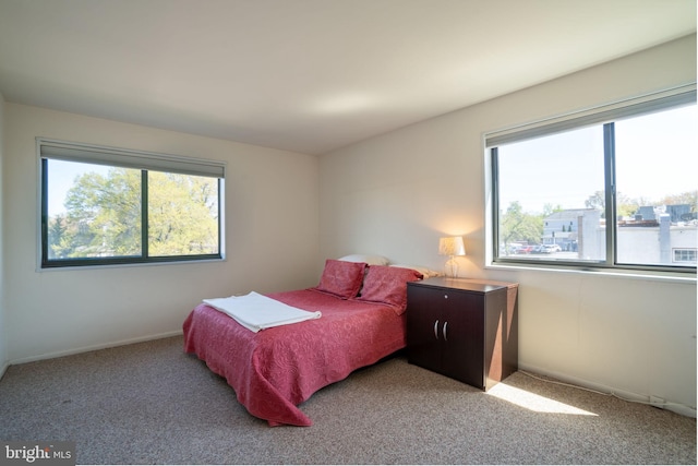 1931 N Cleveland St Unit 312, Arlington, VA 22201 - bedroom with baseboards, carpet, and multiple windows